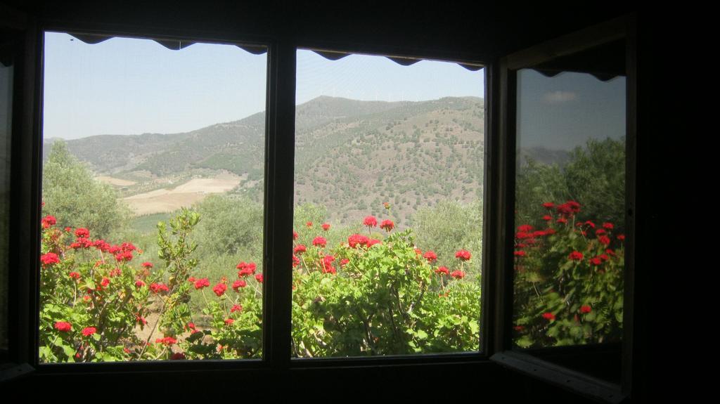 Finca La Piedra Holidays Alora Rum bild