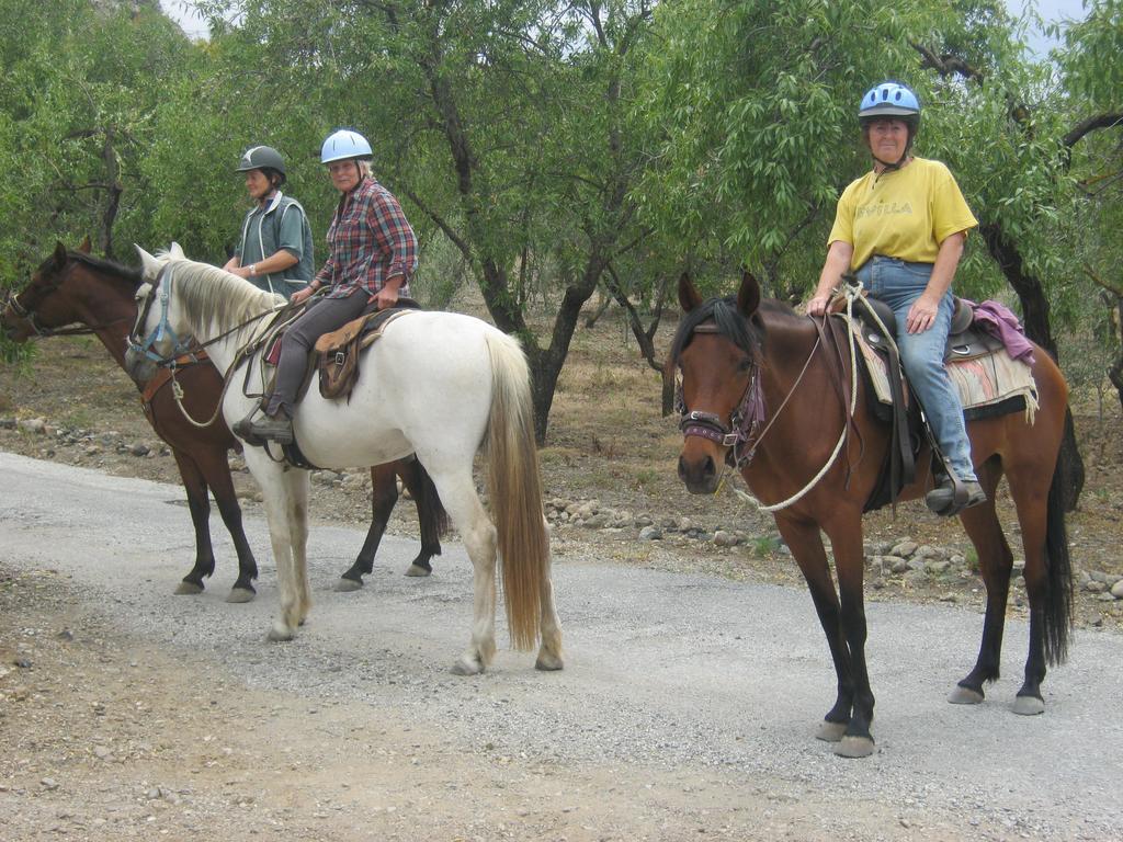 Finca La Piedra Holidays Alora Exteriör bild