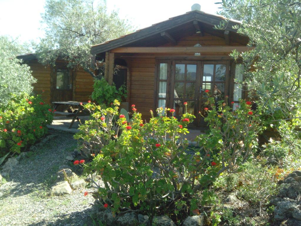 Finca La Piedra Holidays Alora Rum bild