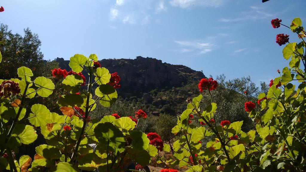 Finca La Piedra Holidays Alora Exteriör bild